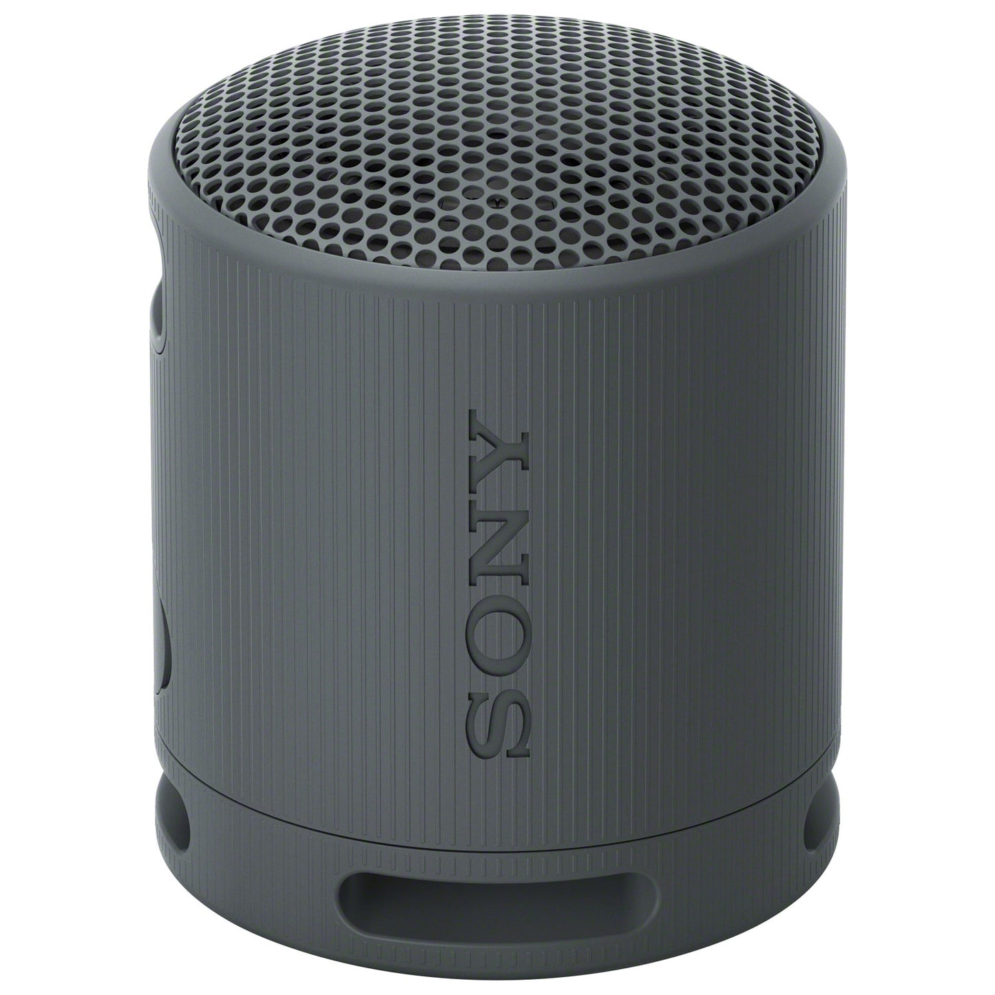Sony SRS-XB100 Waterproof Bluetooth Wireless Speaker - Blue