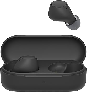 Sony WF-C510 Truly Wireless in-Ear Bluetooth Earbud Headphones