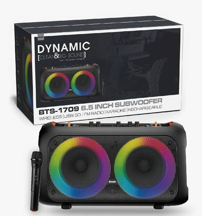 Enceinte de fête Bluetooth rechargeable BTS-1709